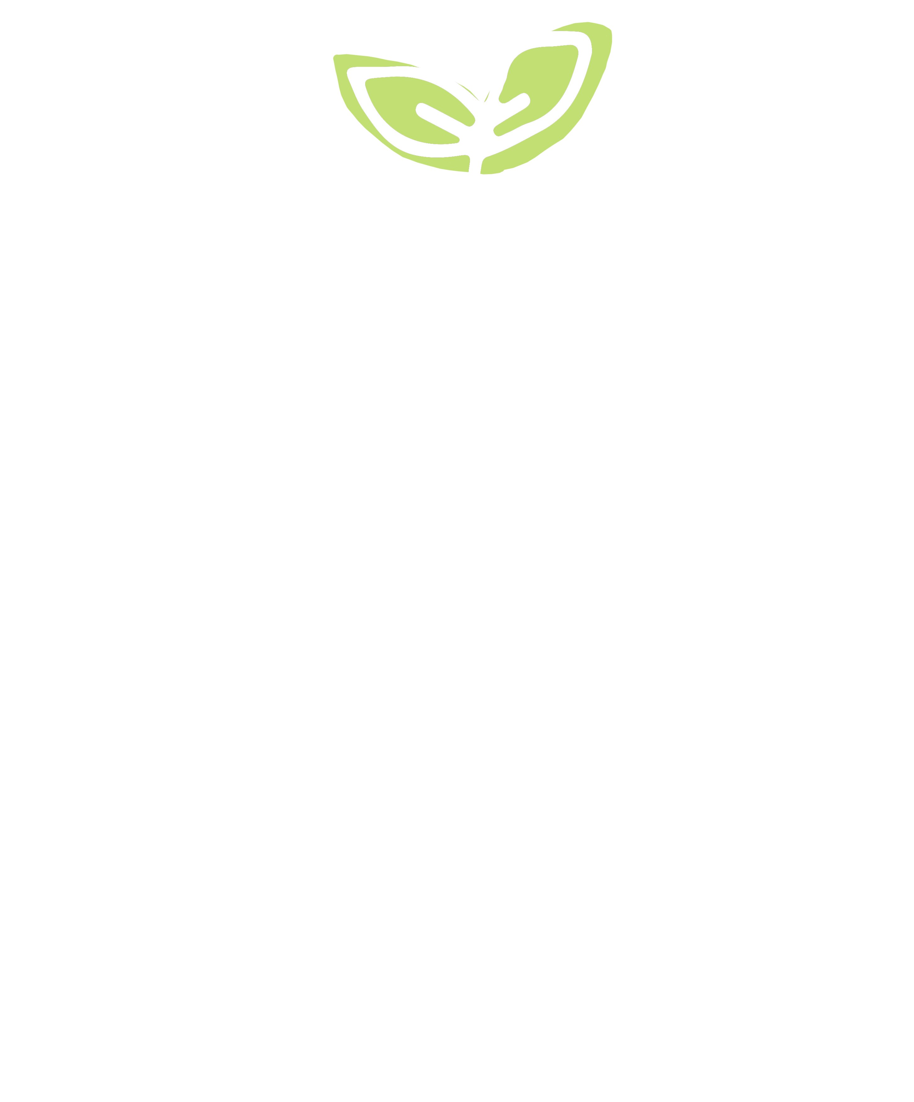 Naturschule Marburg Logo Farbe hell